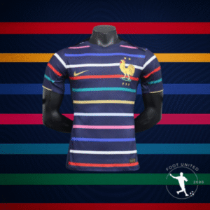 Maillot Équipe de France Third 2023/24 – Edition Nike Multicolore
