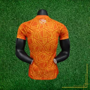 Maillot de foot promotion Maillot de Foot Côte d'Ivoire Can 2024/25