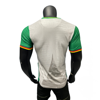 Design sans titre-44 Maillot de foot Cameroun Fourteen “Esprit Lion Indomptable” – Édition 2023